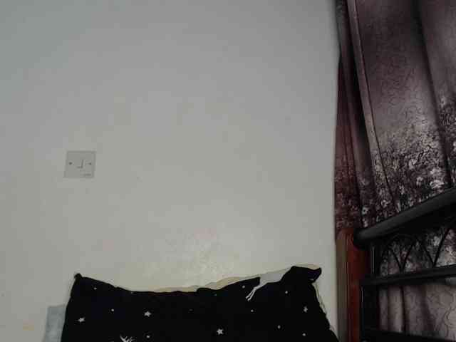 whimsicat webcam