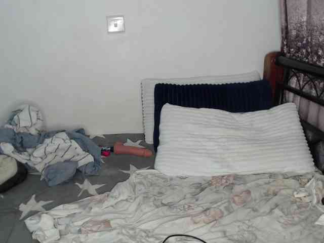 whimsicat webcam