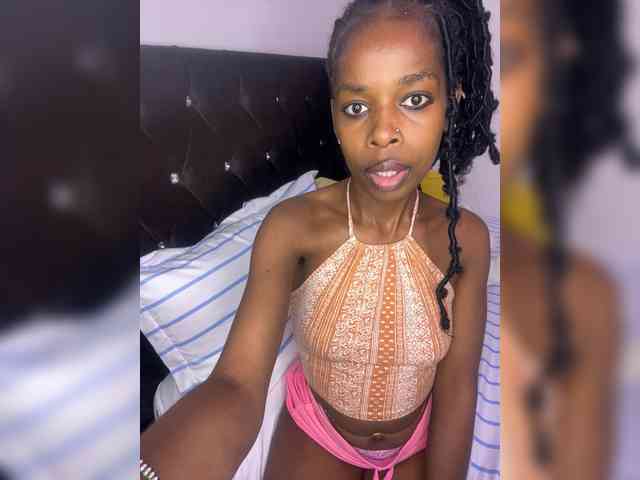 Larrine webcam