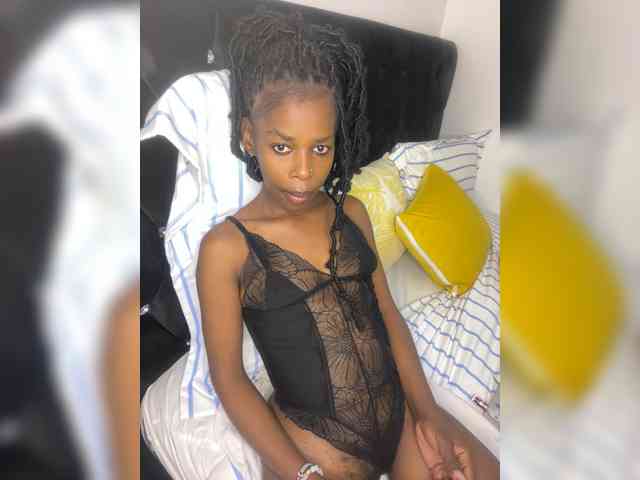 Larrine webcam