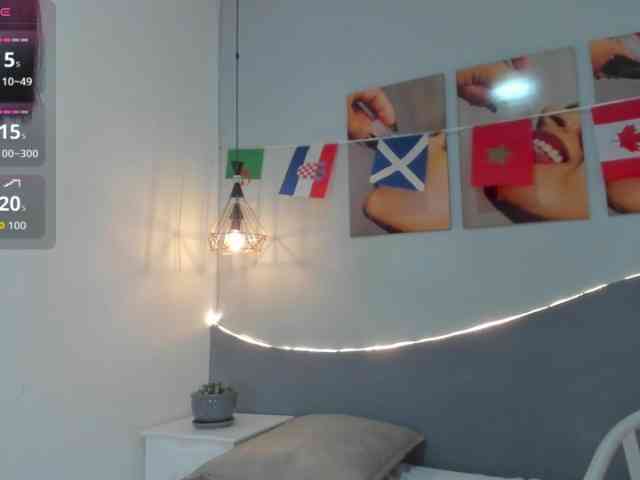 salalinz webcam