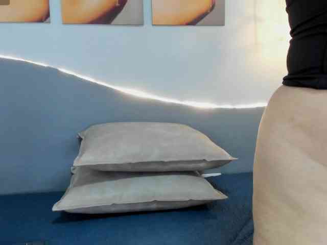 salalinz webcam