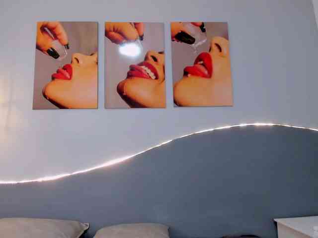 salalinz webcam