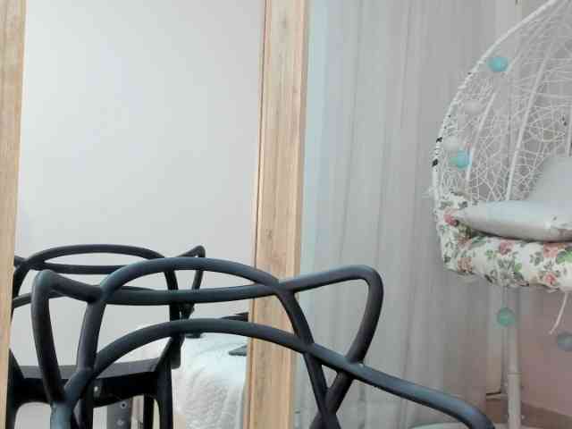 salalinz webcam