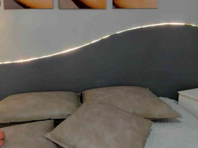 salalinz webcam