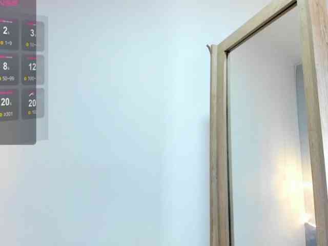 salalinz webcam