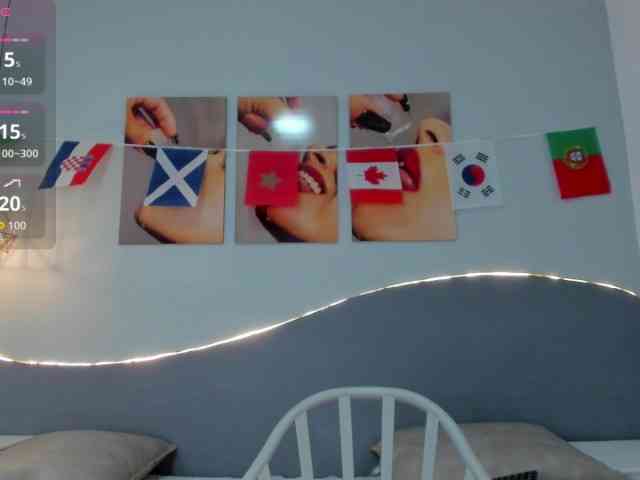 salalinz webcam