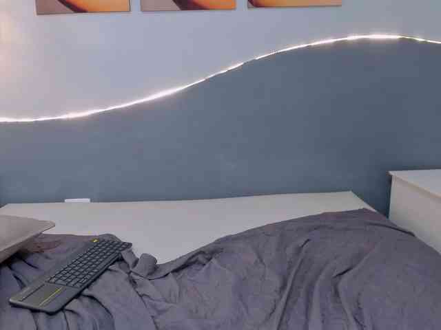 salalinz webcam