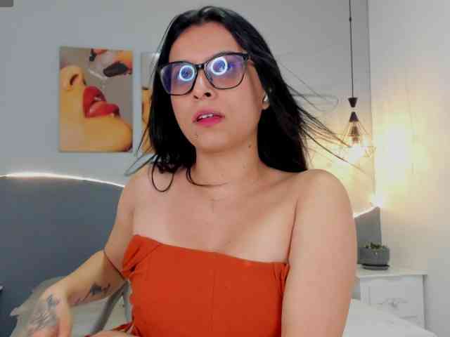 salalinz webcam