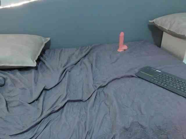 salalinz webcam