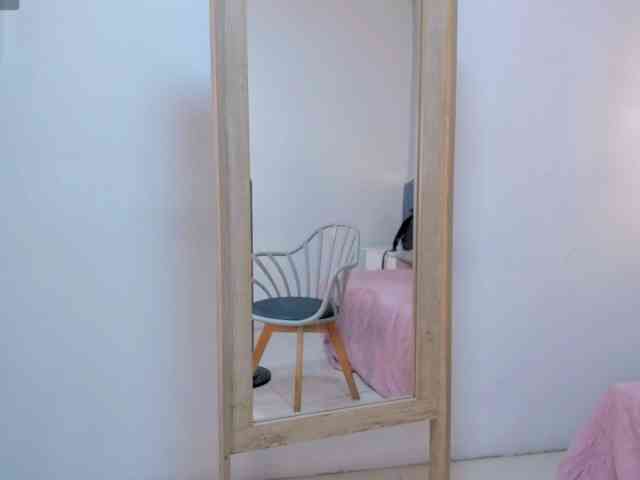 salalinz webcam