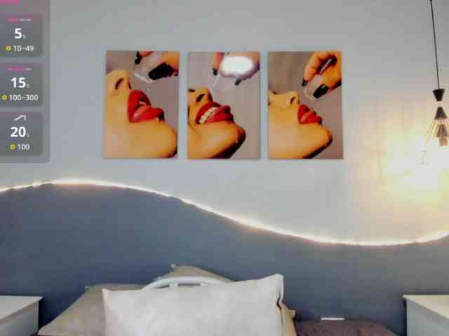 salalinz webcam