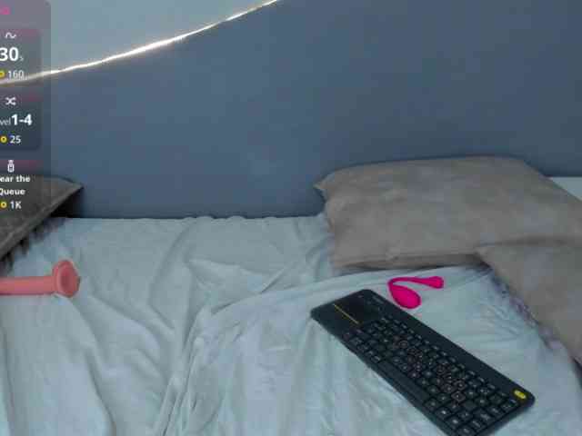 salalinz webcam