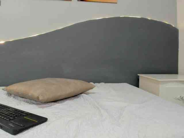 salalinz webcam