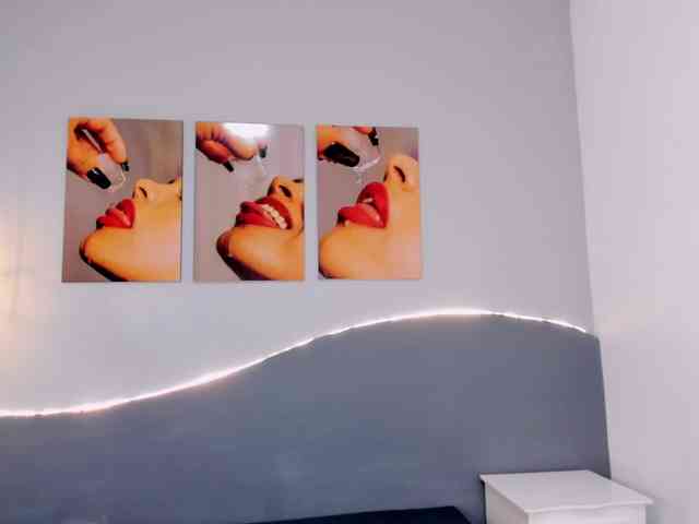 salalinz webcam