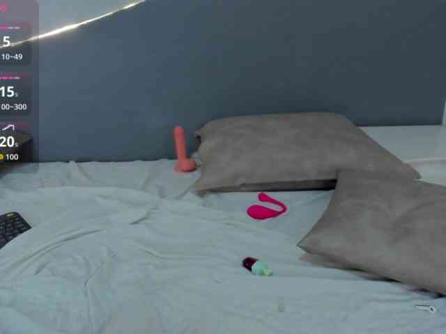 salalinz webcam