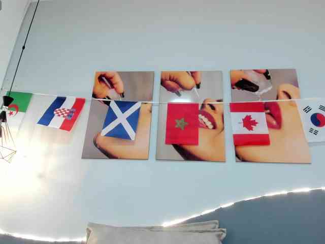 salalinz webcam