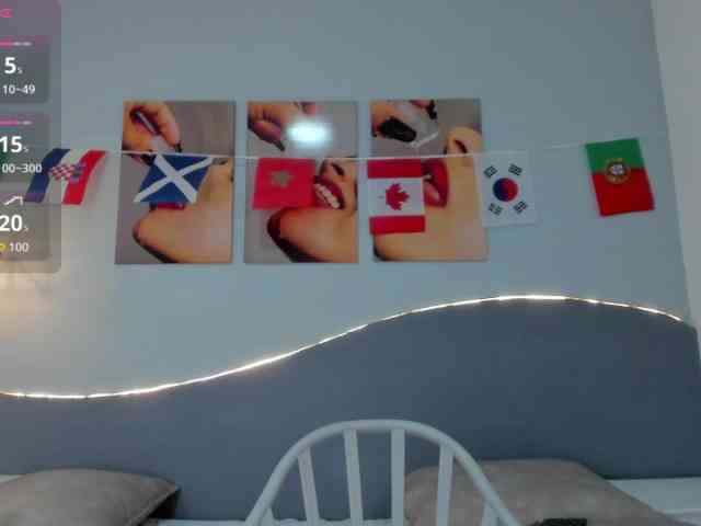 salalinz webcam