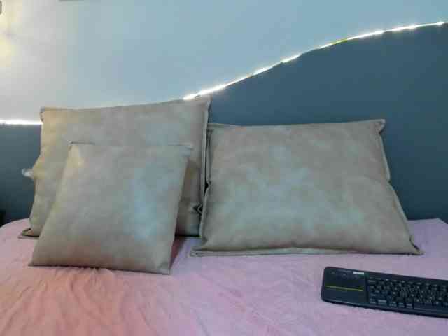 salalinz webcam