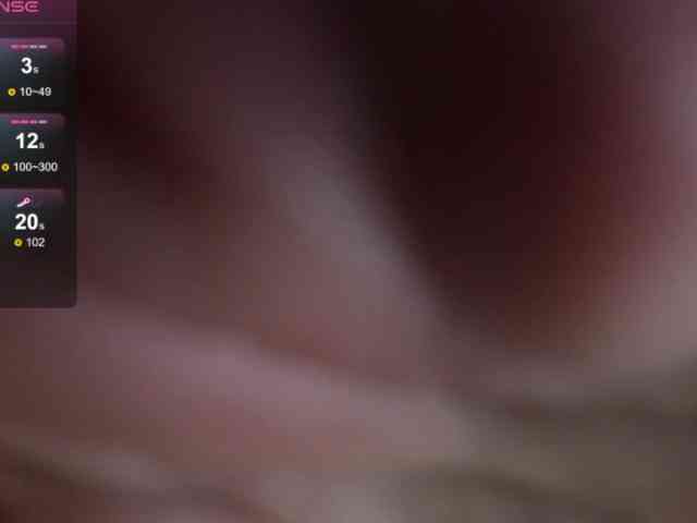 salalinz webcam