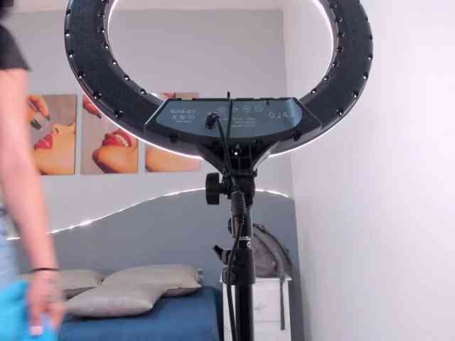 salalinz webcam