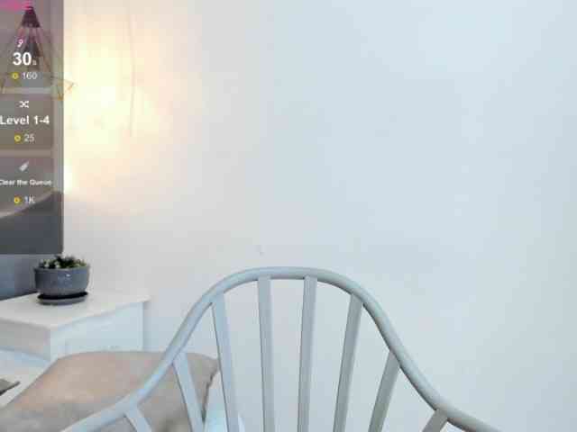 salalinz webcam