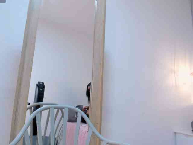 salalinz webcam