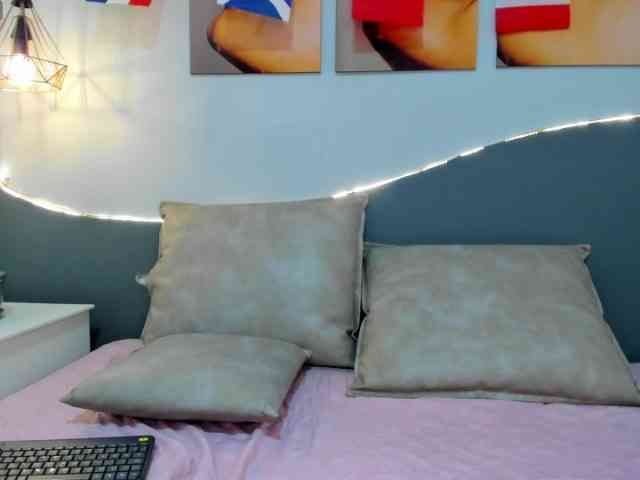 salalinz webcam