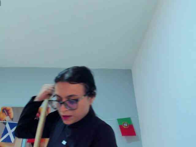 salalinz webcam