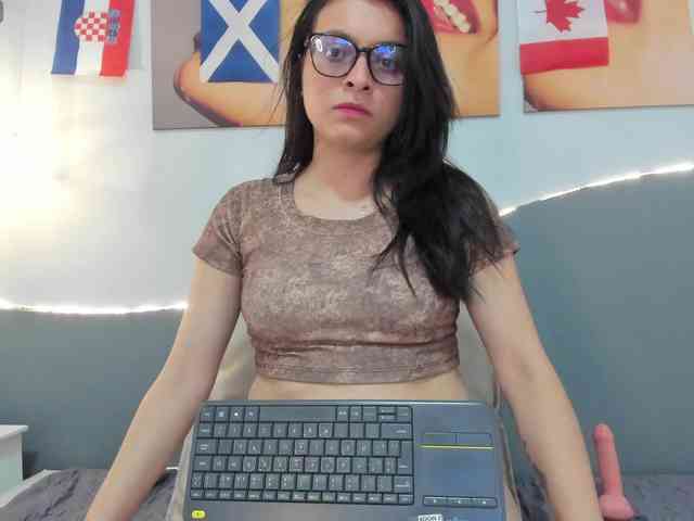 salalinz webcam