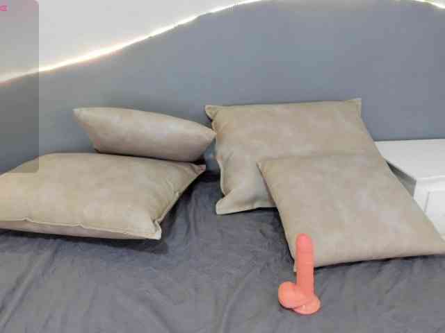 salalinz webcam