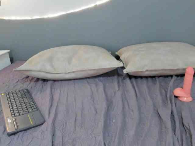 salalinz webcam