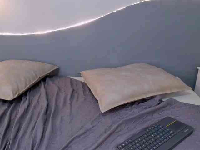 salalinz webcam