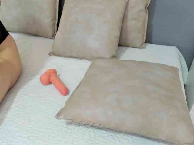 salalinz webcam