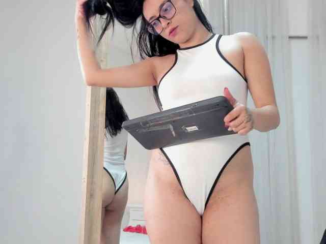 salalinz webcam