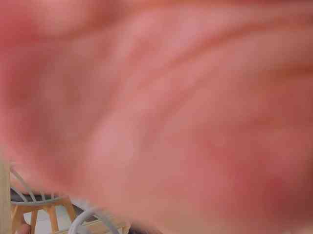 salalinz webcam