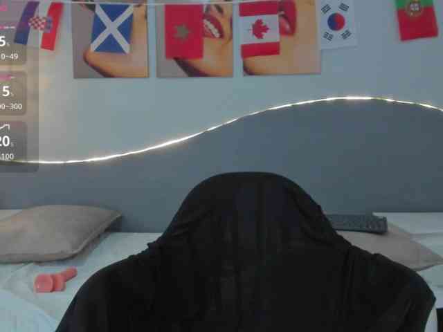 salalinz webcam