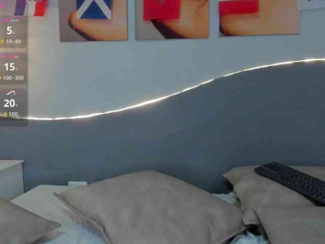 salalinz webcam