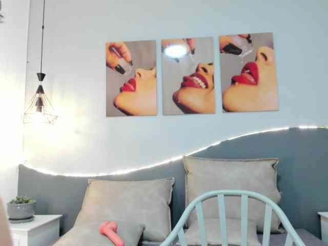 salalinz webcam