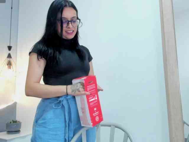 salalinz webcam