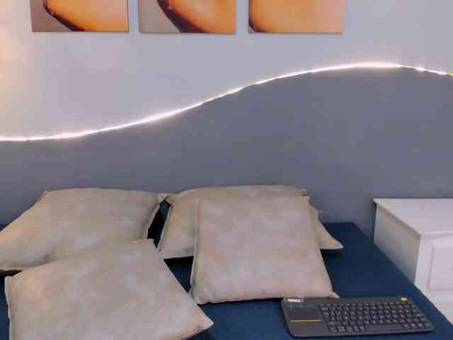 salalinz webcam