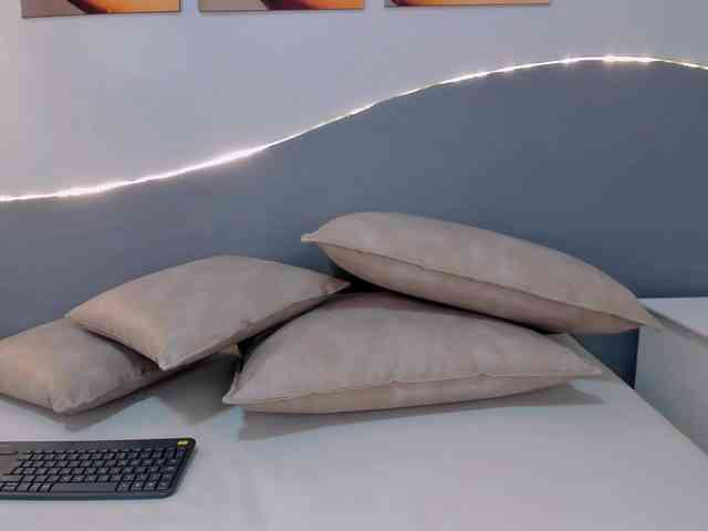 salalinz webcam