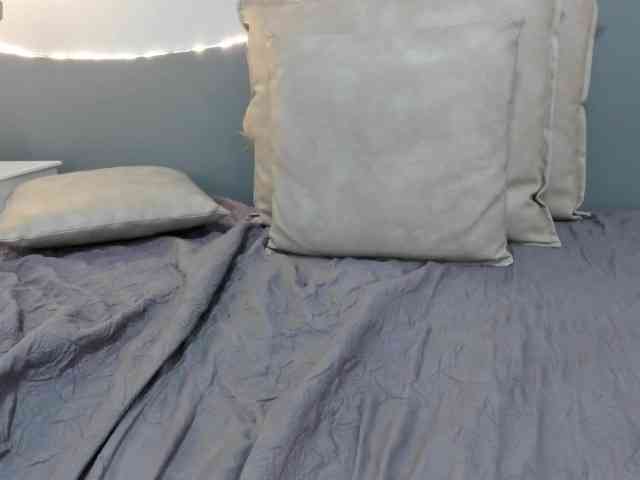 salalinz webcam