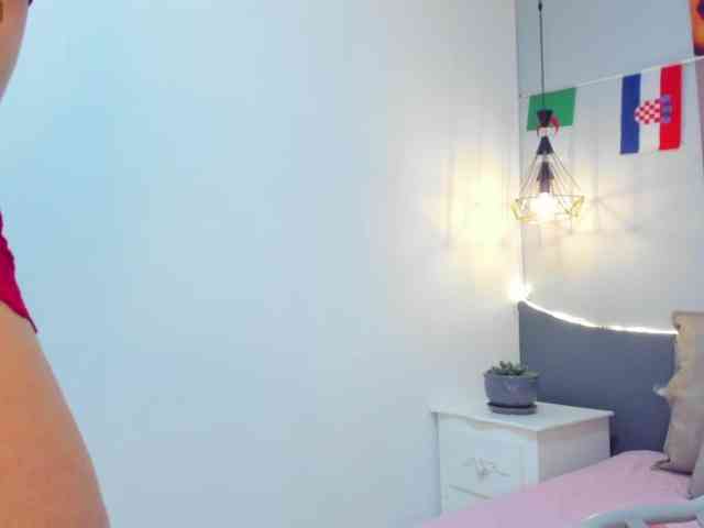salalinz webcam