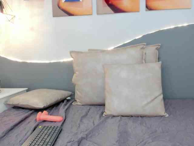 salalinz webcam