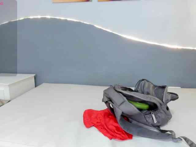 salalinz webcam
