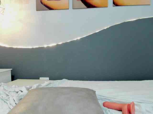 salalinz webcam