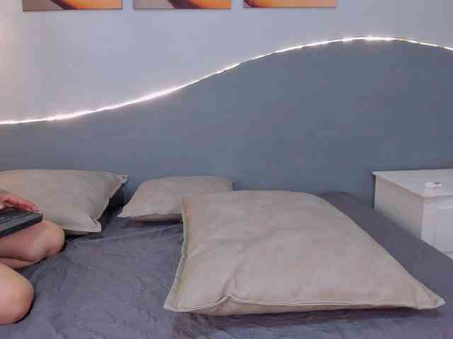 salalinz webcam