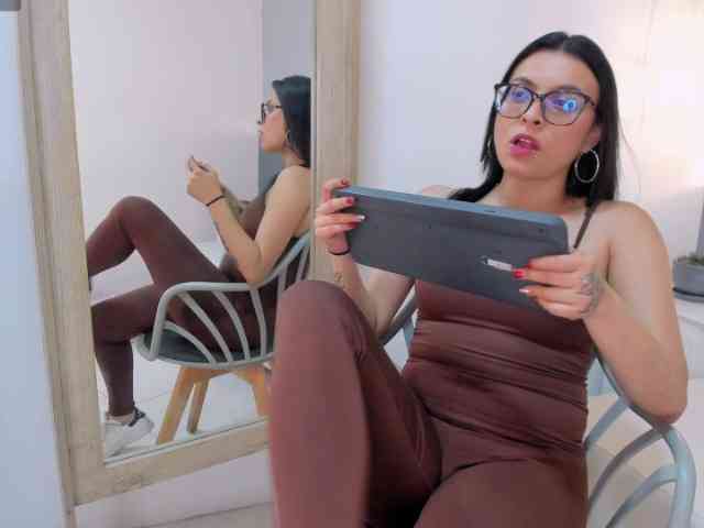 salalinz webcam