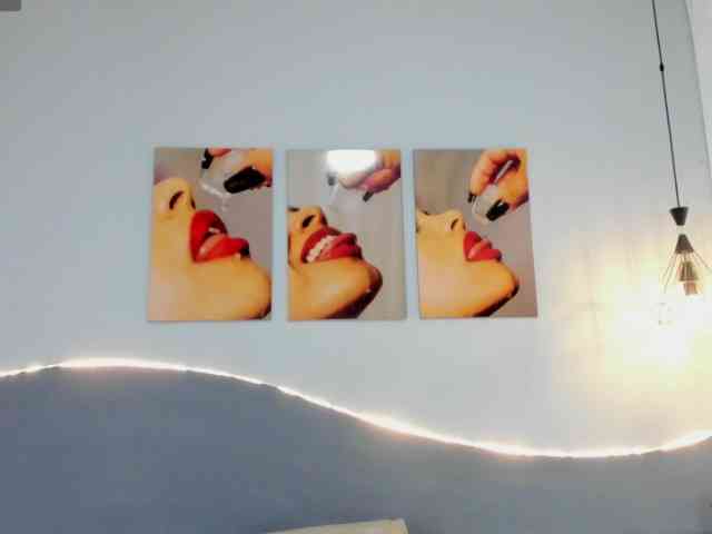 salalinz webcam